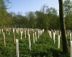 Tree Planting